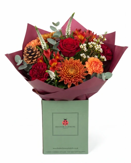 Orange Glow Festive Flower Delivery Orange Glow Festive Flower Delivery