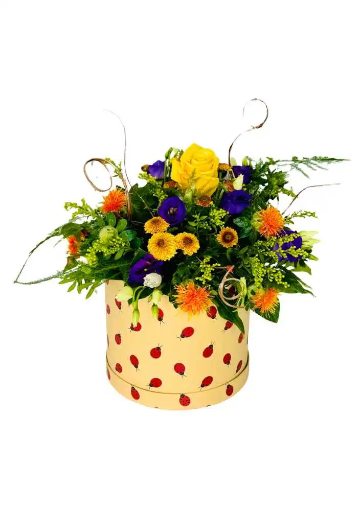 Autumn in a hatbox Autumn in a hatbox