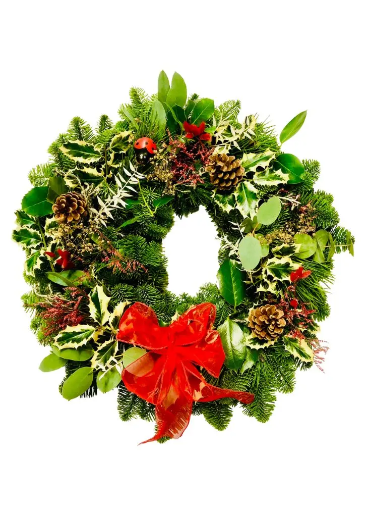 Booker Ladybird Luxury Christmas Door Wreath - Large