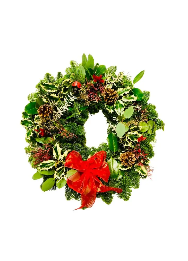 Booker Ladybird Luxury Christmas Door Wreath - Standard