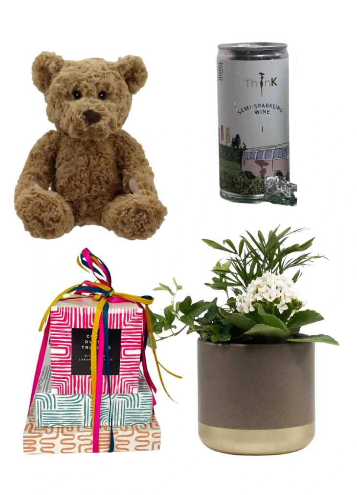 Indoor Planter in Ceramic Pot Gift Set