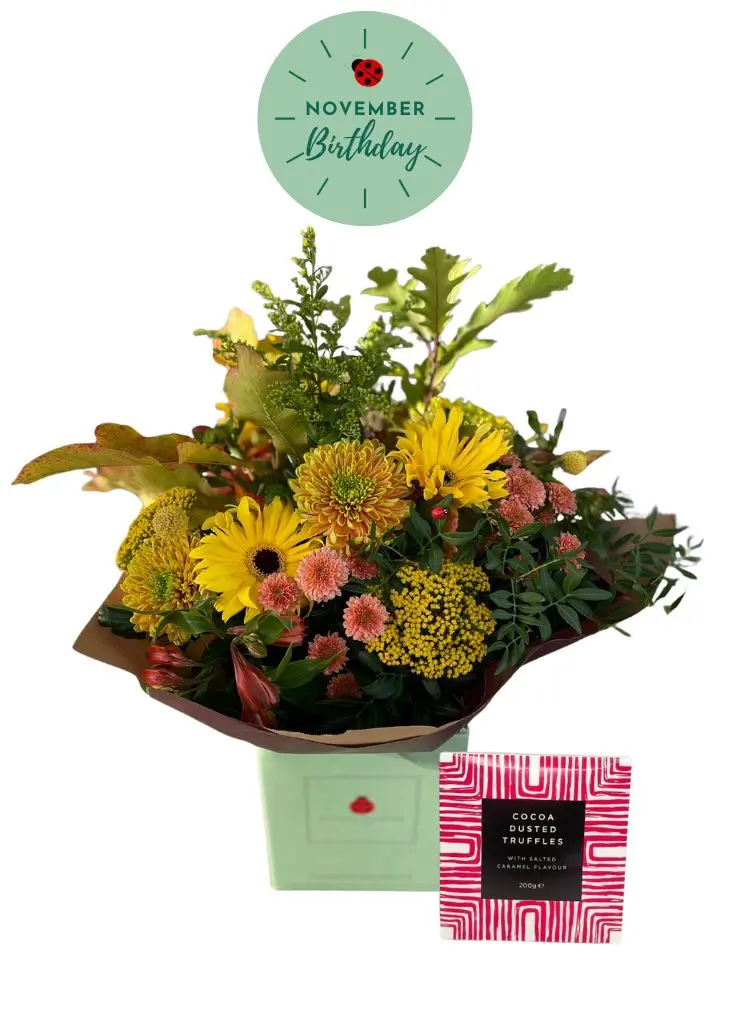 November Birthday flowers and Chocolates gift set November Birthday flowers and Chocolates gift set