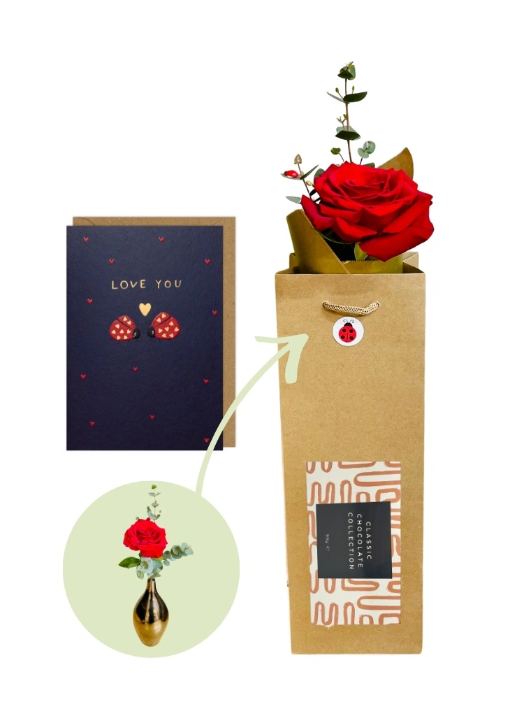 One Red Rose and Chocolates Gift