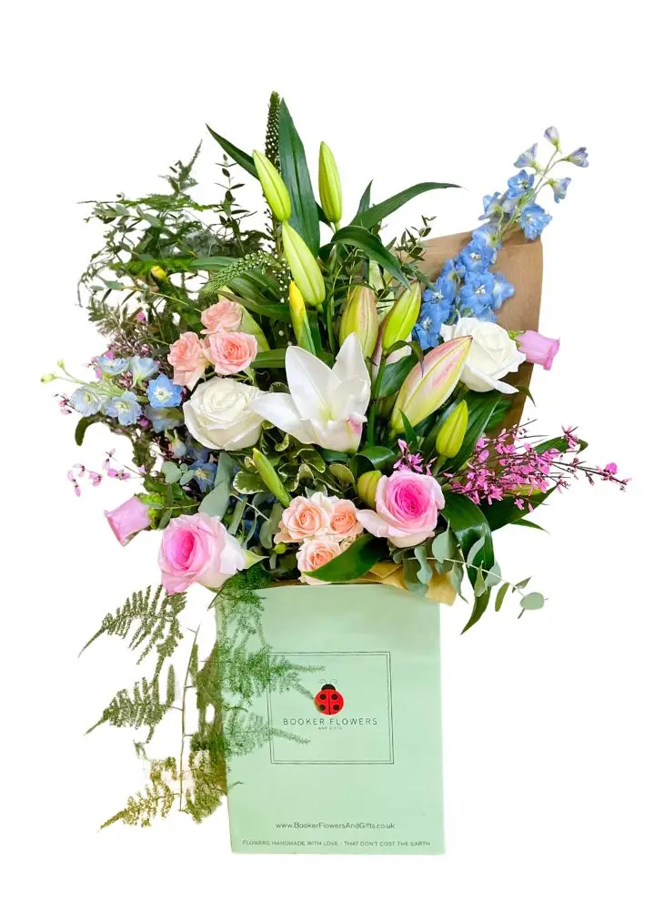 Spring Pastels Blushing Baby Blues