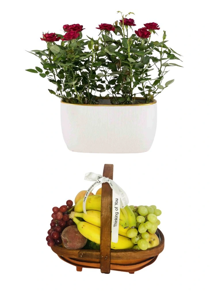 Thinking of You Christmas Gift